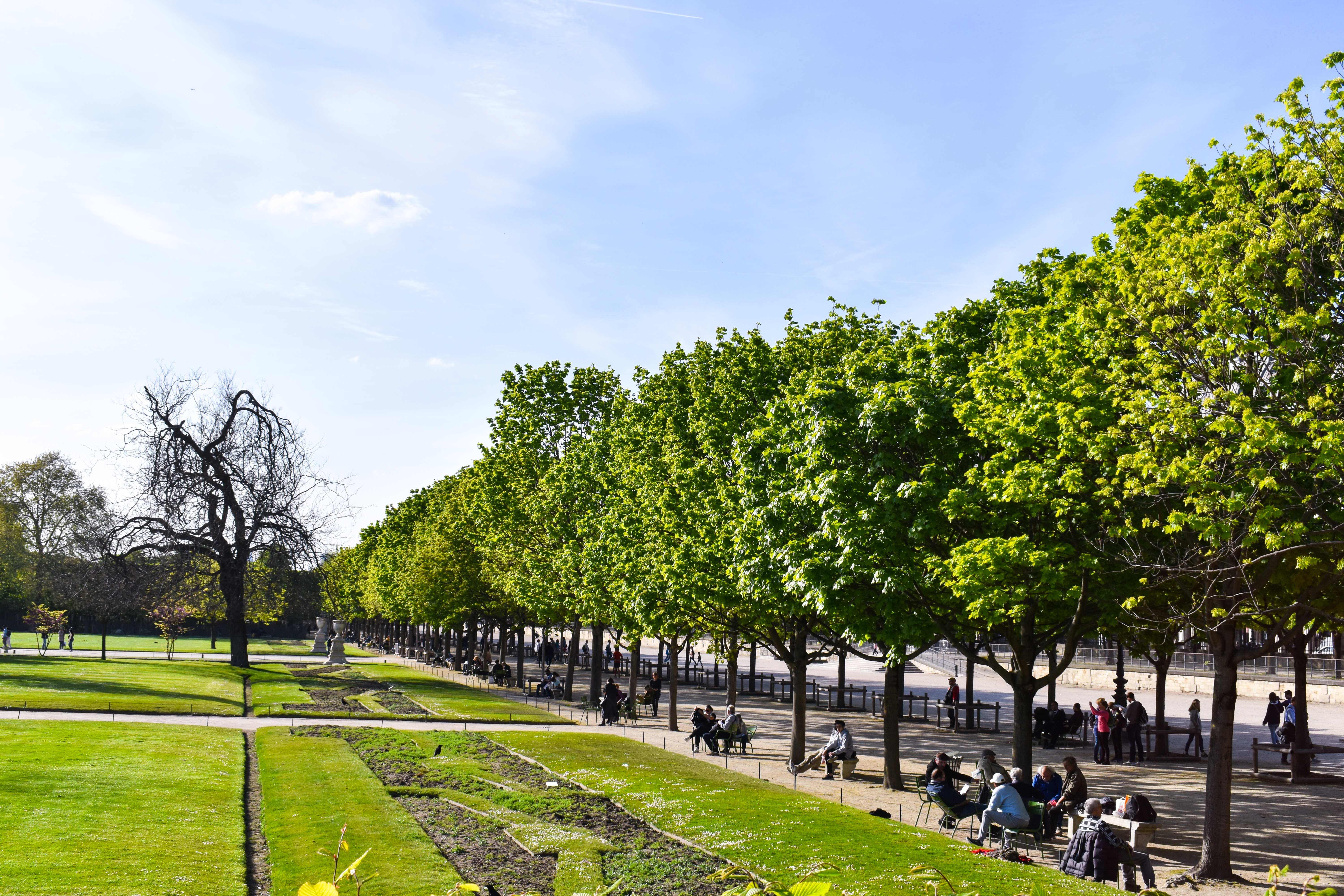Jardins des Tuileries, Paris